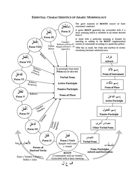 Arabic Morphology Chart2 Pdf
