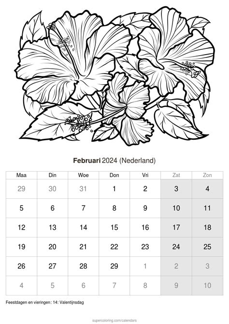 Kalender Februari 2024 Nederland