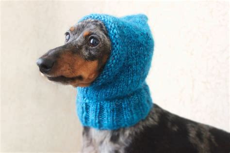 Finding patterns to fit the length of a dachshund isn't easy at all. KNITTING PATTERN Small Dog Hat Mini Dachshund Hat Pet ...