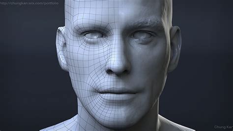 Human Face Topology