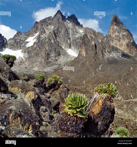 Kenya The Peaks Of Mount Kenya Africa S Second Highest Snow Capped