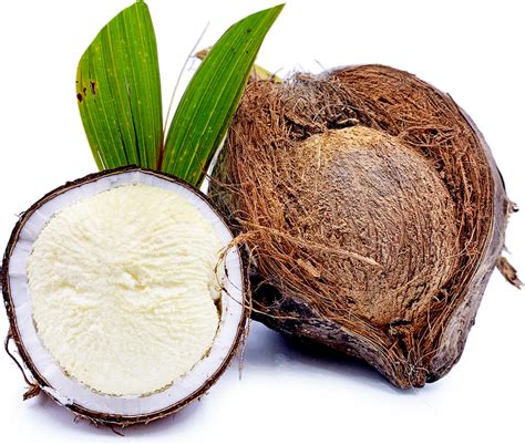 Sprouted Coconut Information And Facts Coconut Coconut Benefits Sprouts