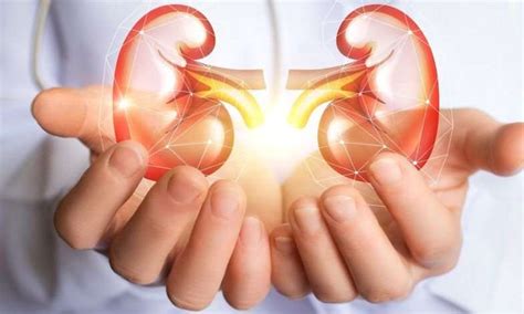 • ia membabitkan pelbagai aspek termasuk penyakit buah pinggang yang diwarisi secara genetik (polycystic kidney disease) dan penyakit buah pinggang yang disebabkan penyakit lain seperti diebetes dan hipertensi (hypertension). 10 Simptom Sakit Buah Pinggang