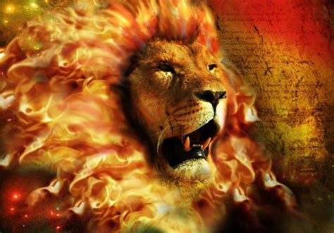 Burning Lions Hd Wallpapers Wallpaper Cave