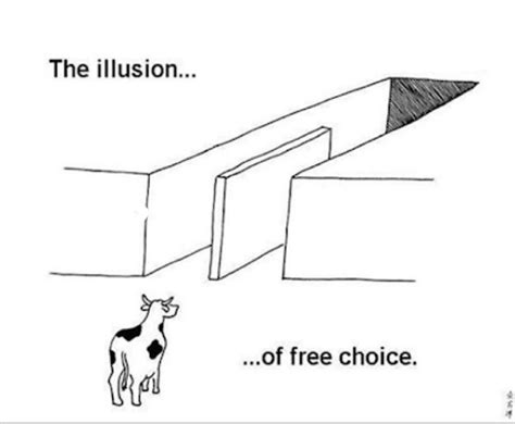 Illusion Of Free Choice Memes Imgflip