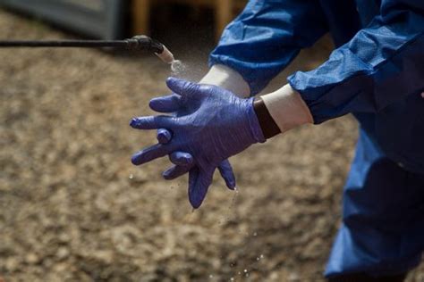 Both viruses are native to africa,. Nine Important Facts About the Highly Fatal Marburg Virus