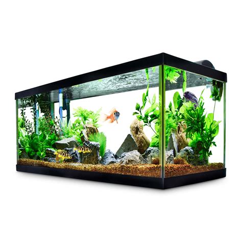 Aqueon Standard Glass Aquarium Tank 40 Gallon Breeder Petco 40