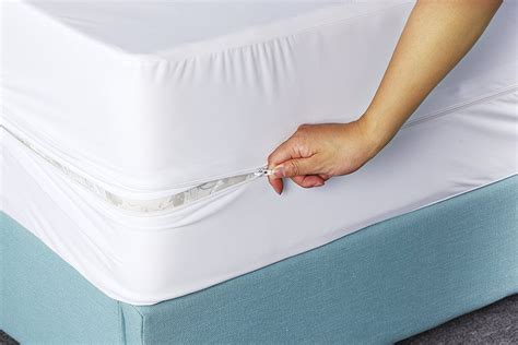 Box Spring Encasement Bed Bug Proof Box Waterproof Premium Zippered