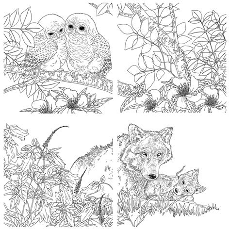 The animals listed here are also suitable for specific topics such as: Forest Animals Coloring Book - Kayliebooks
