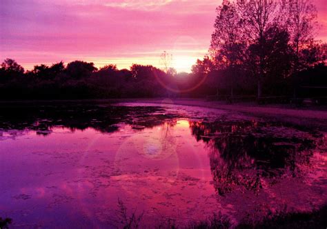 A Purple Lake By Stolvezen On Deviantart
