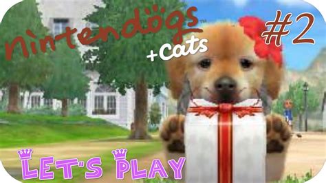 Lets Play Nintendogs Cats Golden Retriever 2 Contapassi Che