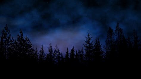 Forest Silhouette On A Beautiful Bright Starry Night With Mist Rolling