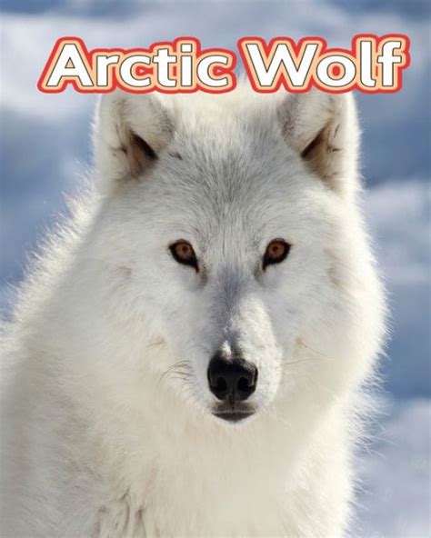 Arctic Wolf Facts Book Fun Facts Book For Kids By Lina Höfler