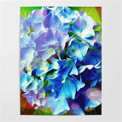Blue Hydrangea Poster By Artmotiva Tap And Buy Right Now