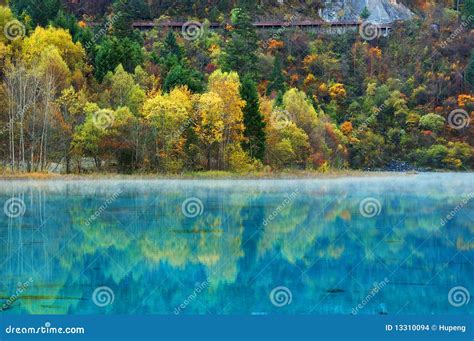 Autumn Tree And Lake In Jiuzhaigou Stock Photo Image Of Autumn