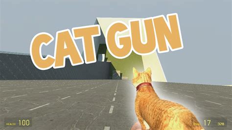 Cat Gun Gmod Youtube