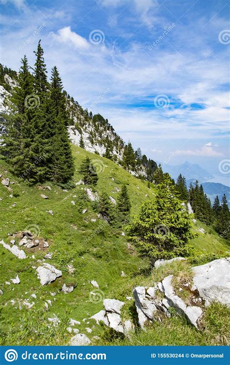 Landscape In The Alps With Fresh Green Meadows And Trees Stock Photo