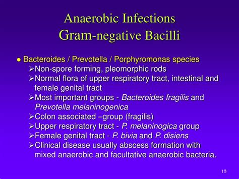 Ppt Anaerobic Bacteria Powerpoint Presentation Id2122265