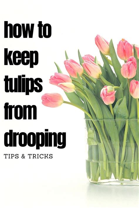 Many cases of ptosis are minor and do not negatively affect an individual's. How to Keep Tulips from Drooping in 2020 | Tulips in vase ...