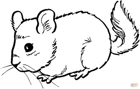 Cute Mouse Coloring Page Free Printable Coloring Pages