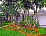 Landscaping Services Miami Pictures