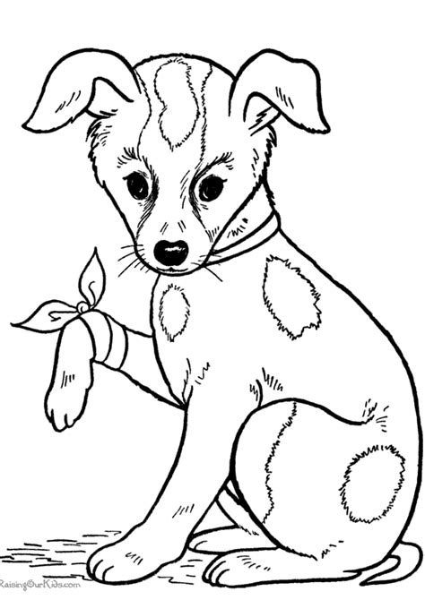 Https://favs.pics/coloring Page/realistic Cute Dog Coloring Pages