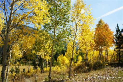 The Best Of Utah Fall Colors Along The Mirror Lake Highway