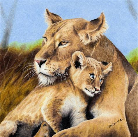 Colored Pencil Drawing Lioness And Lion Cub By Jasminasusak On Deviantart