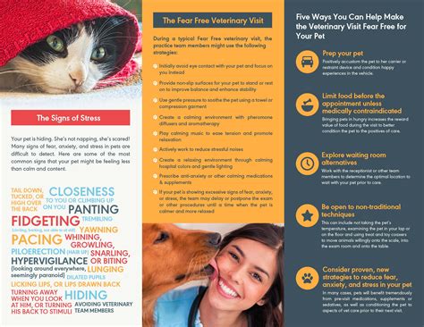 Fear free certification is just one of the ways we are empowering our clients and their pets to feel better and live happier lives through quality vet care. FVH is a Fear Free Certified Practice! - Fairhaven ...