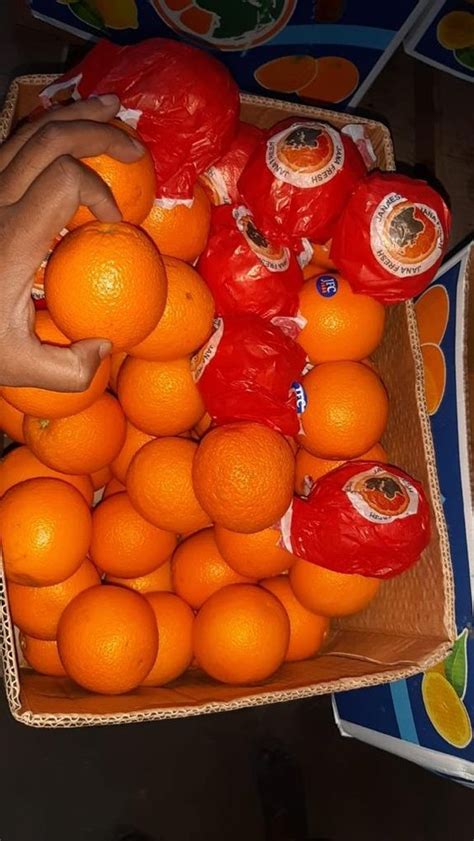 A Grade Egypt Malta Oranges Packaging Size 18 Kg Packaging Type