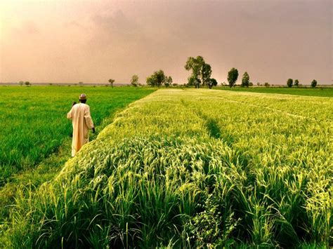5 Innovative Agricultural Practices That Are Changing the ...