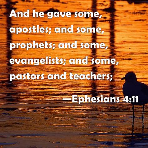 Ephesians 411 And He Gave Some Apostles And Some Prophets And Some