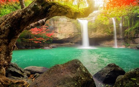 Download Wallpapers Suwat Waterfall Beautiful Lake Tropical Forest
