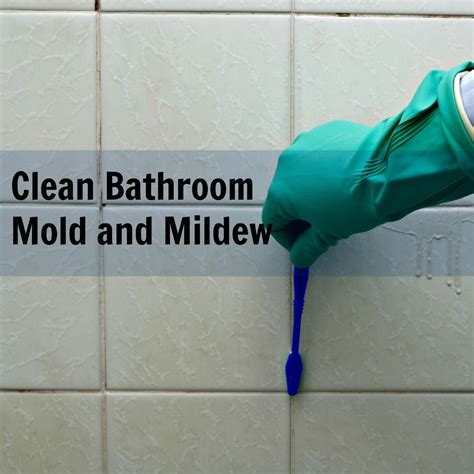 Scrubbing bubbles bathroom flushable wipes. Cleaning tips for removing mold and mildew from shower ...