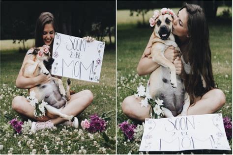Maternity Photoshoot For A Pregnant Dog Yes Please Photos