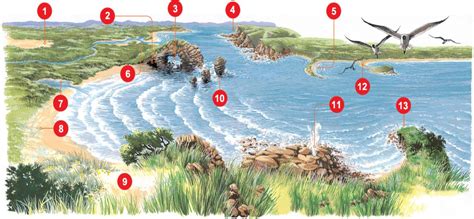 Coastal Landforms Diagram Quizlet