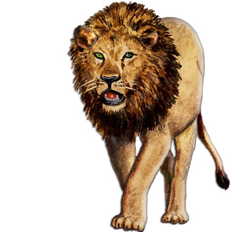 Walking Lion Png Transparent Background Free Download Freeiconspng