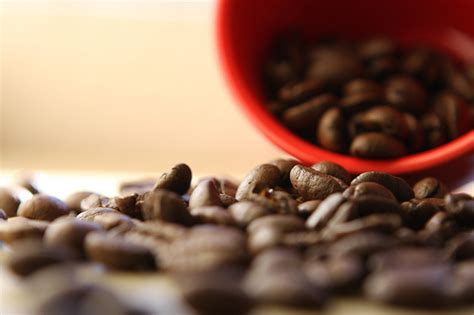 Check spelling or type a new query. Toxic Chemicals In Coffee: Pick Your Poison