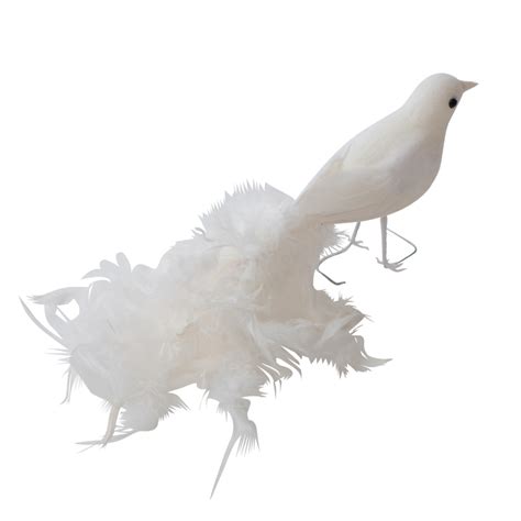White Feathered Long Tail Artificial Birds Birds And Butterflies