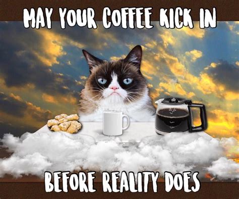 Grumpy Cat Coffee ☕️ Grumpy Cat Humor Grumpy Cat Quotes Grumpy Cat