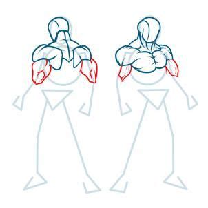 Aprender Sobre Imagem Musculos Desenhos Br Thptnganamst Edu Vn