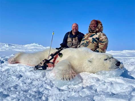 Polar Bear Hunts Canadian High Arctic Adventures