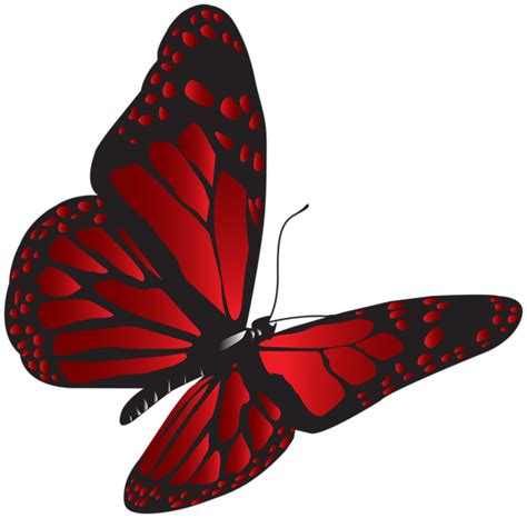 Butterfly Red Clip Art Red Butterfly Png Download 600591 Free