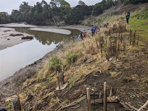 Wildcare Groups Join Forces For National Tree Planting Day At Spreyton