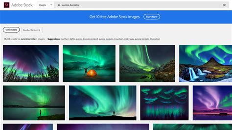 Instruction to use go to adobestock.com How to Make a Stock Photo Website like Shutterstock ...