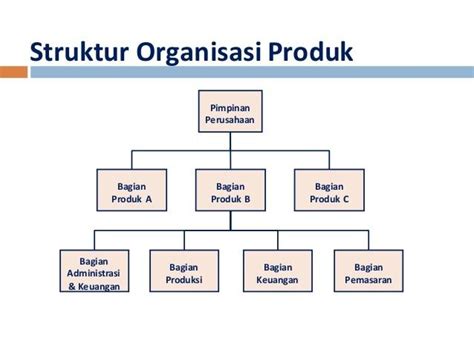 Detail Contoh Struktur Organisasi Perusahaan Kecil Koleksi Nomer 12