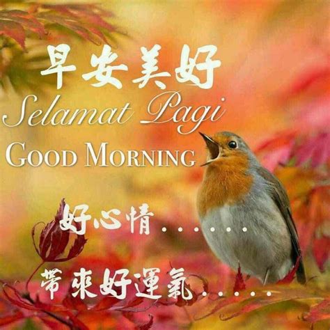 Coffee Good Morning Wishes In Chinese Good Morning Kindness Images
