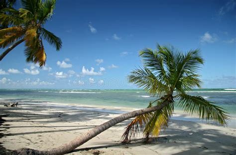 Caribbean Free Stock Photos And Pictures Caribbean Royalty Free And