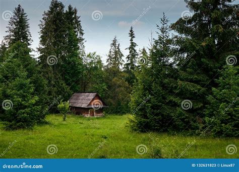 Old Log Cabin In The Forest Stock Image Image Of Rustic Shelter
