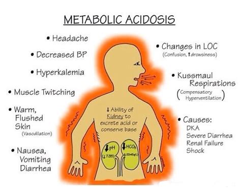 Metabolic Acidosis Blood Gas